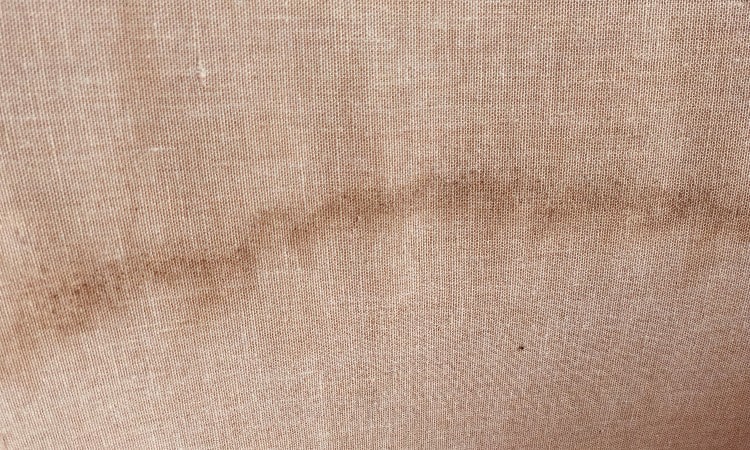 blog1